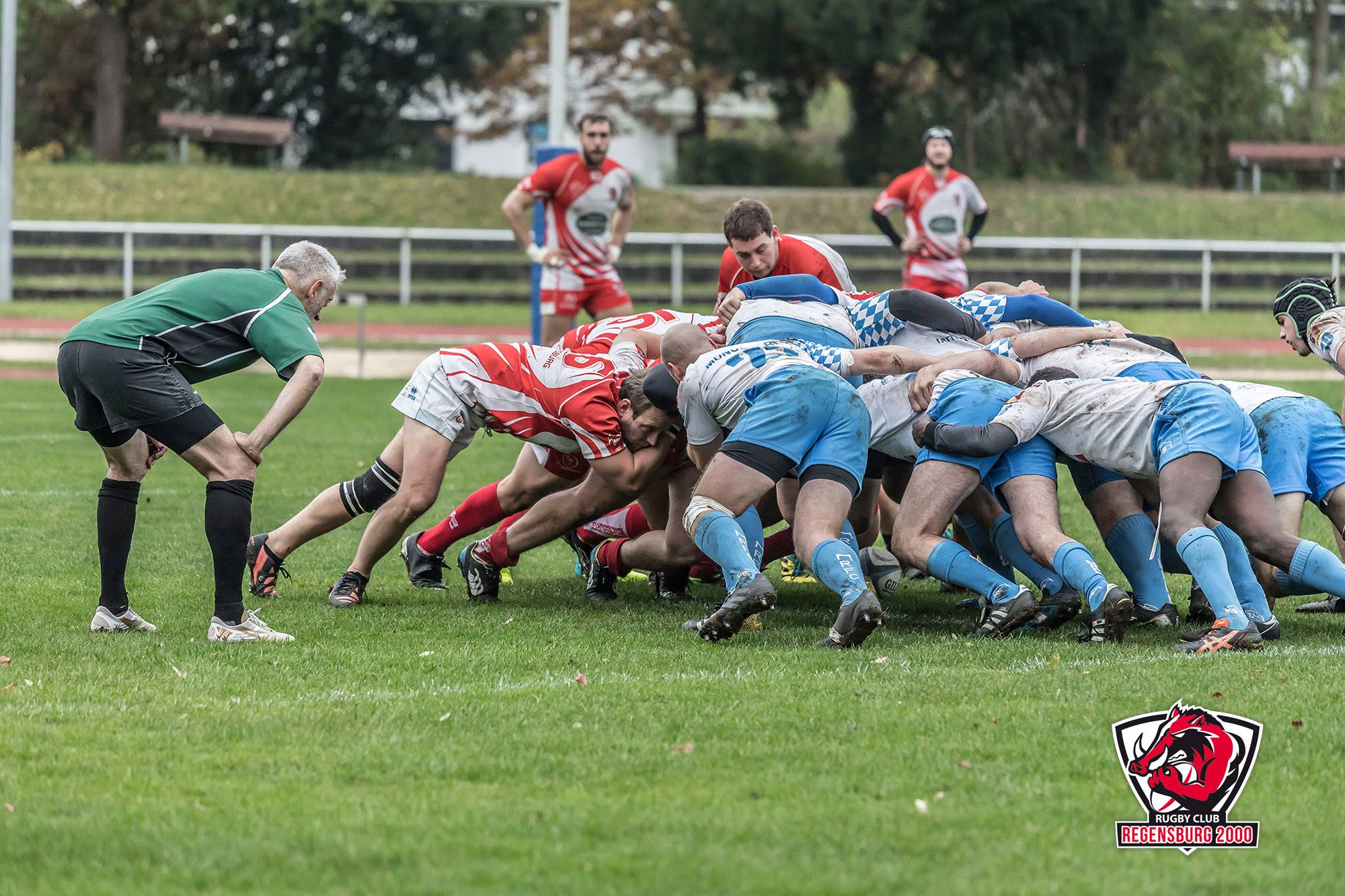 Rugbyspiel Herren, Scrum 15er Rugby